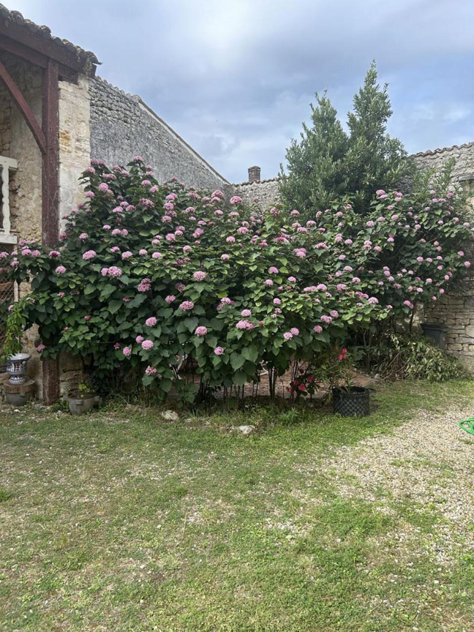 Chambres Et Table D'Hotes Maison Garesche Nieulle-sur-Seudre المظهر الخارجي الصورة